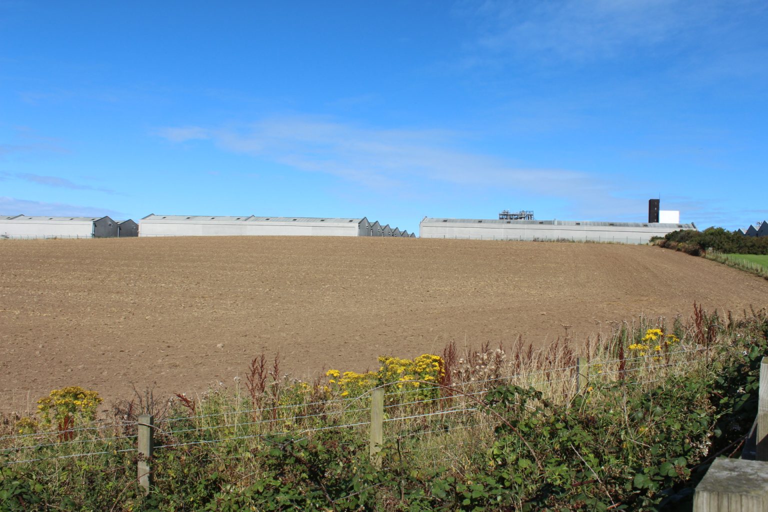 Het distilleerderijterrein van William Grant & Sons in Girvan, Ayrshire, waar Aerstone vandaan komt