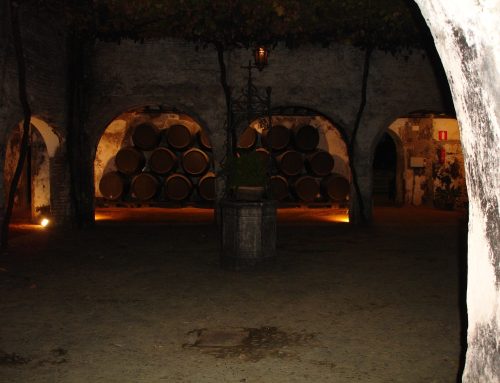 Fino, amontillado en oloroso: de droge sherry’s uit elkaar gehouden