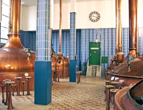 Bier brouwen: van mout tot fles in negen stappen