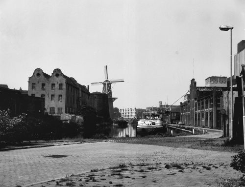 Corenwijn: de moutigste jenever, en waar hij vandaan komt