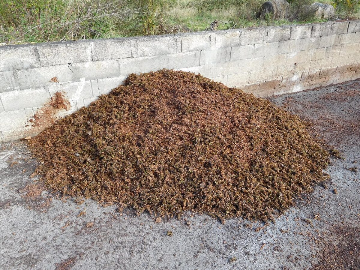 Een hoop druivenperskoek naast een wijnhuis