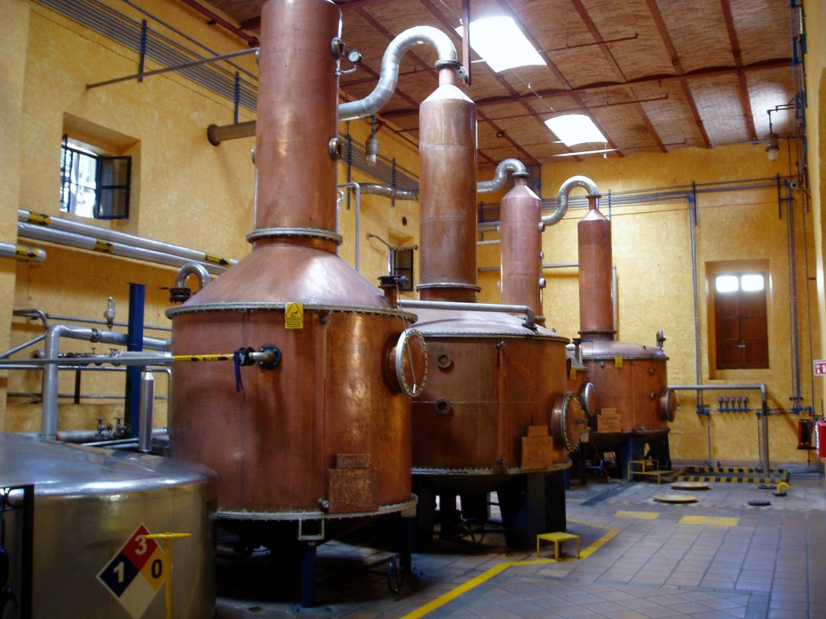 Koperen ketels met helm en zwanenhals in een tequiladistilleerderij
