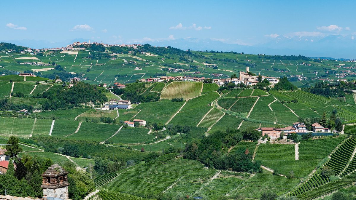 De heuvels van de Langhe met wijngaarden en de dorpen Castiglione Falletto en La Morra
