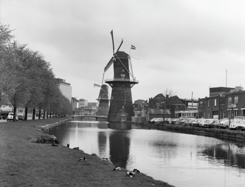 Hoe jenever gestookt wordt: moutwijn, jeneverbes en hertoevoeging