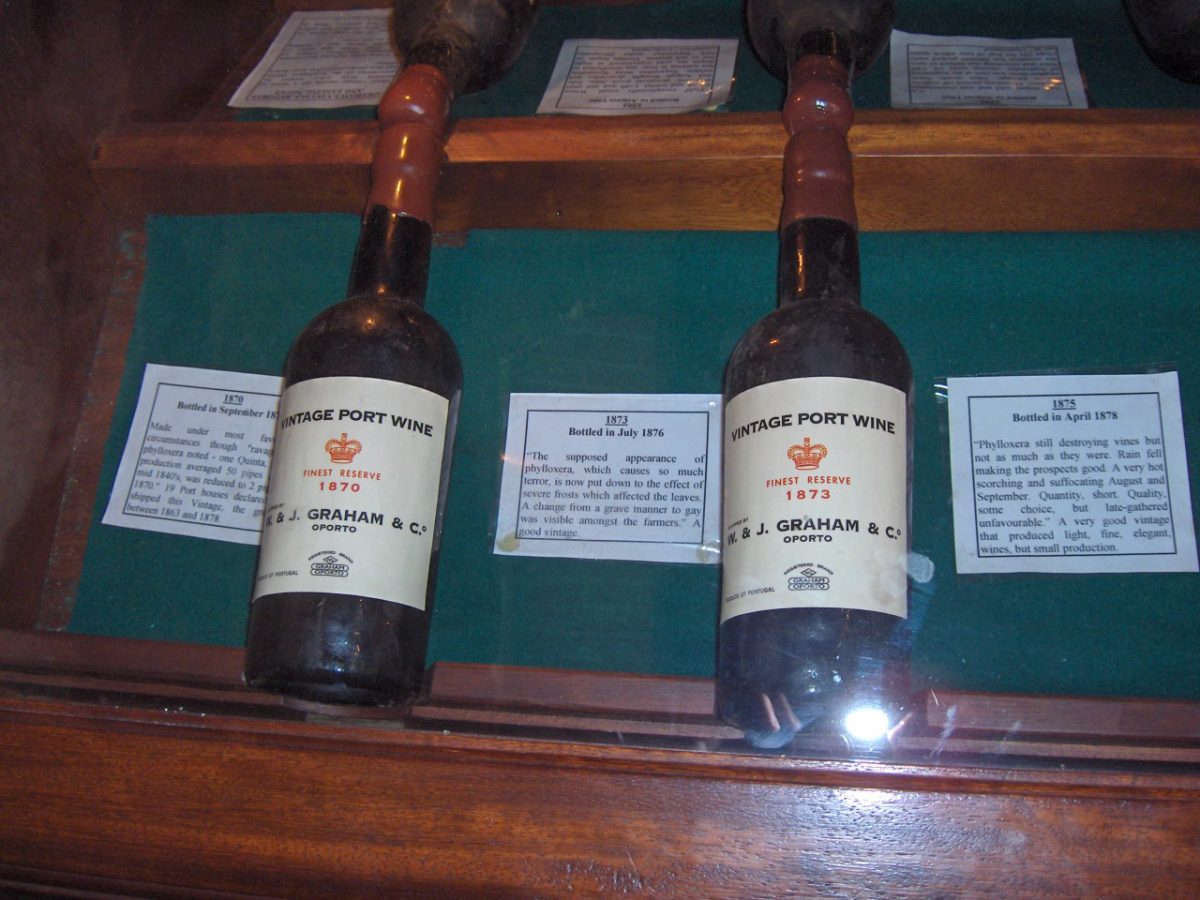 Oude flessen vintageport uit de negentiende eeuw in een vitrine