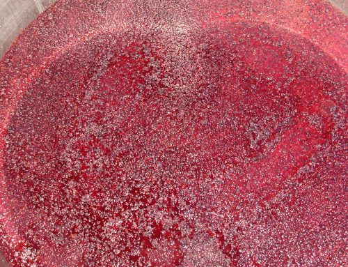 Sulphites in wine: what they do and why they are on the label