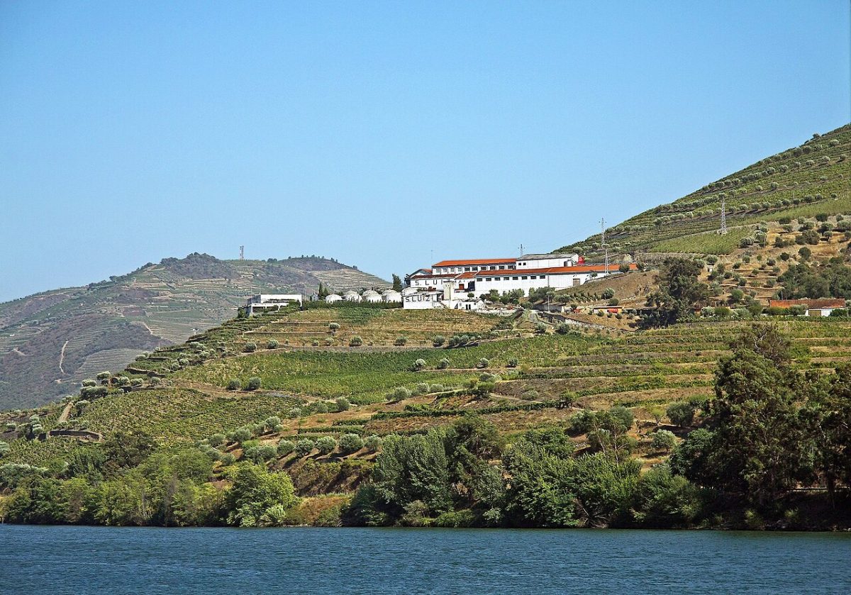 De Quinta de Sao Luiz met wijngaarden aan de oever van de Douro