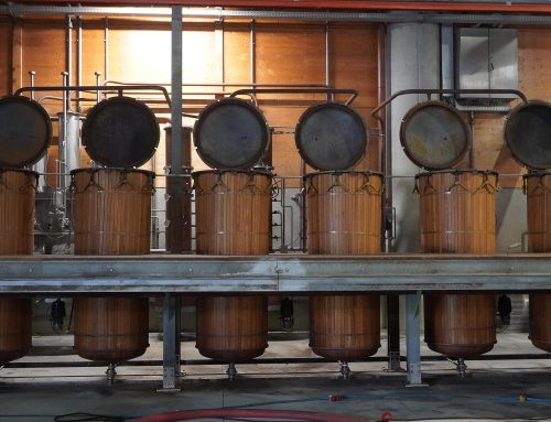 Bianca, invecchiata, barricata of riserva: grappa-etiketten gelezen