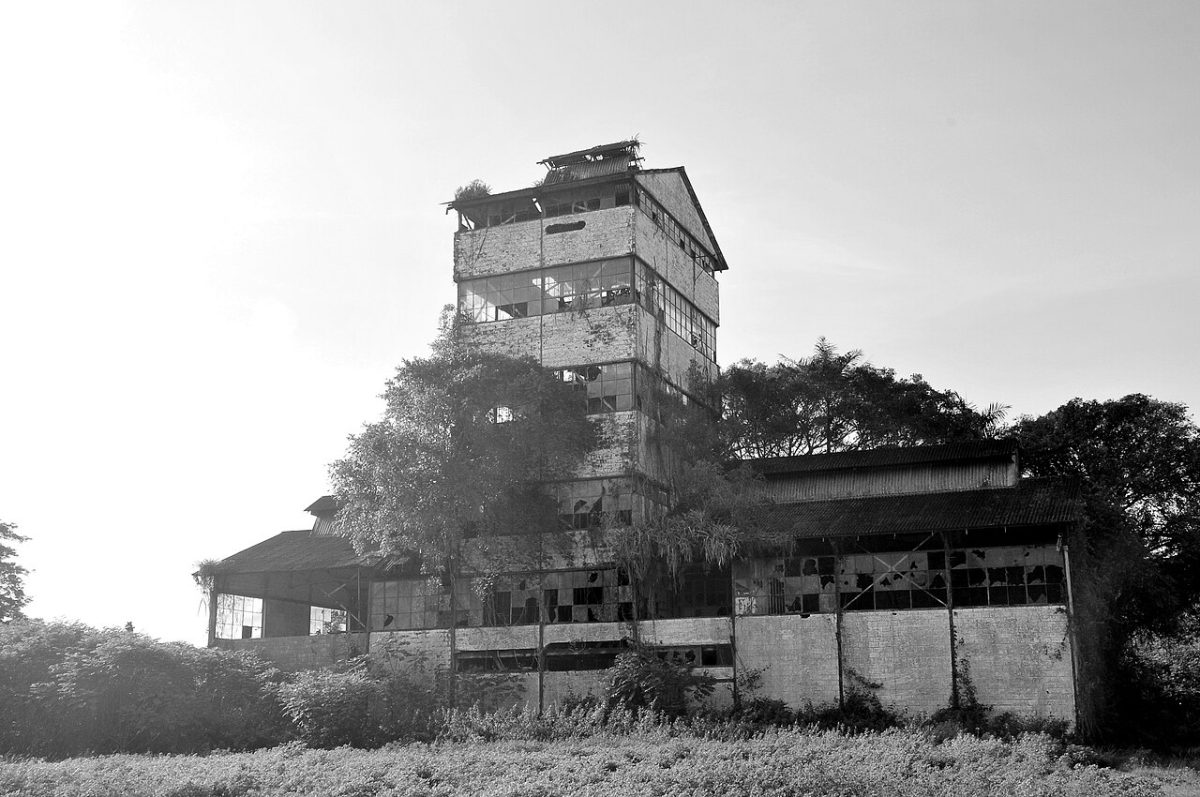 De ruine van de suikerfabriek Marienburg in Commewijne in Suriname