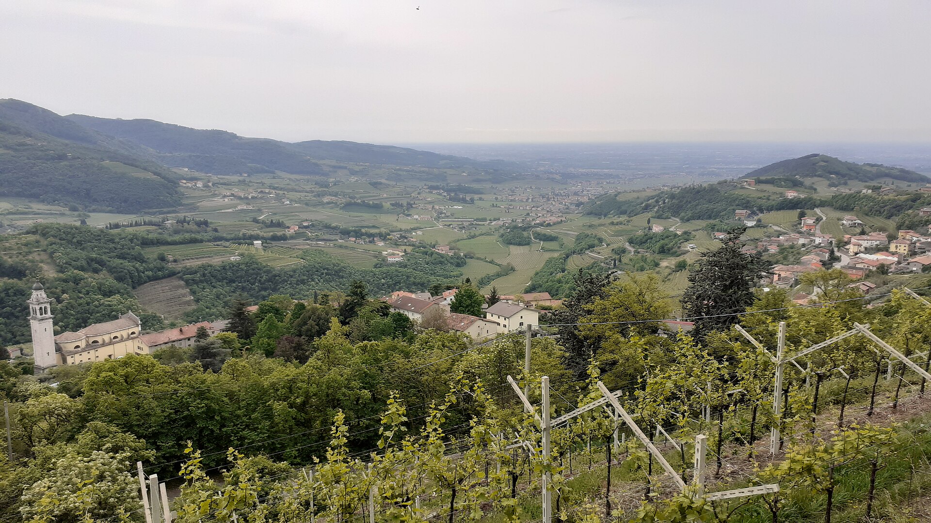 De vallei van Negrar in de Valpolicella, met wijngaarden op pergola's op de voorgrond