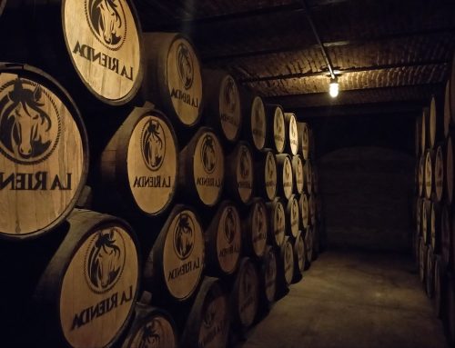 Blanco, reposado en añejo: hoelang tequila op het vat ligt