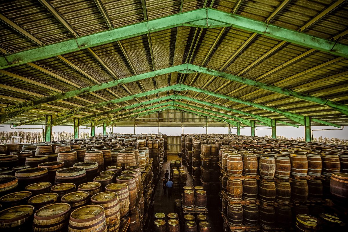 Rijen vaten in het rijpingspakhuis van de Foursquare-distilleerderij op Barbados