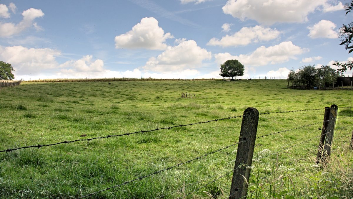 Glooiende akkers en houtwallen in het Pajottenland bij Gooik