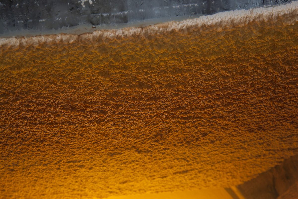 Het vlies van florgist op de sherry in een vat