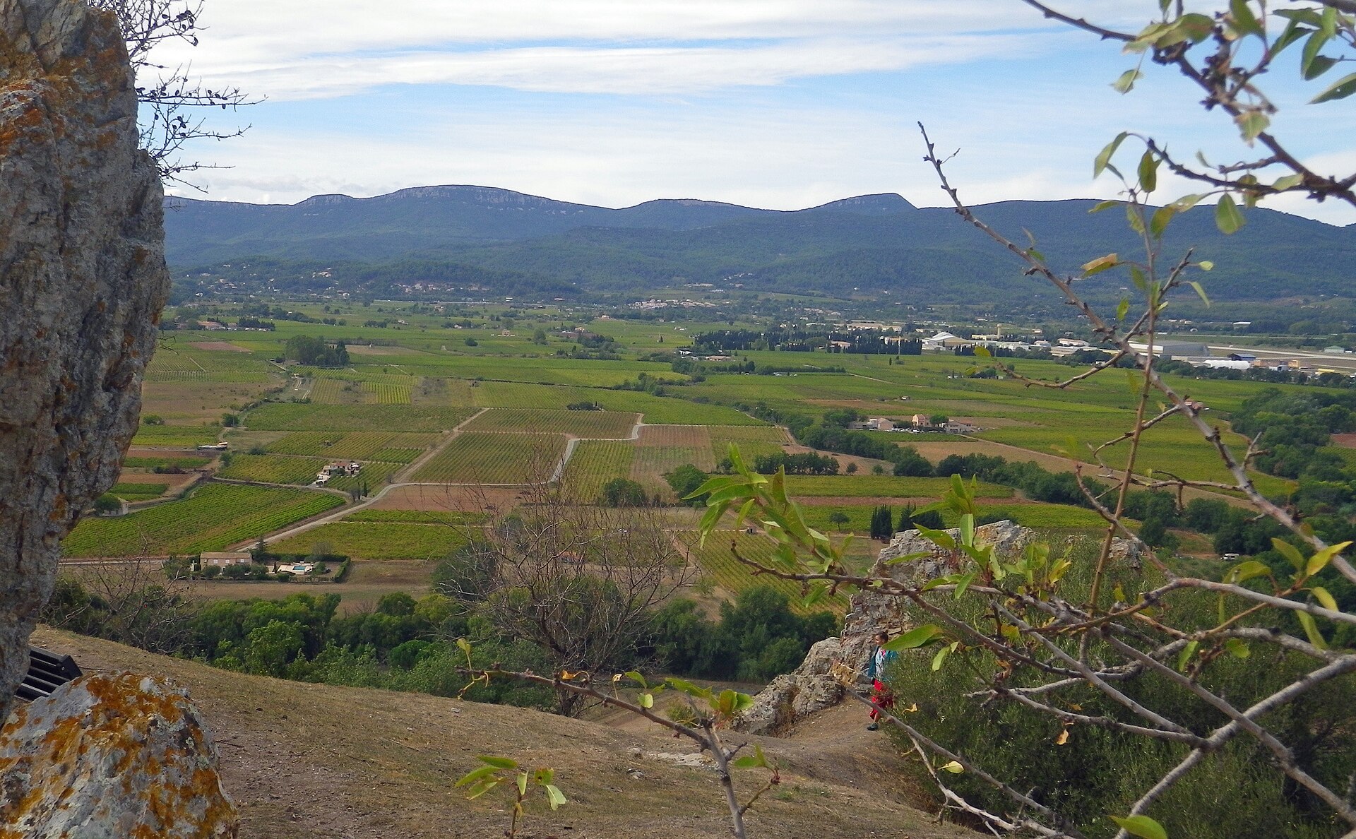 Wijngaarden in de Cotes de Provence tussen Cuers en Pierrefeu-du-Var
