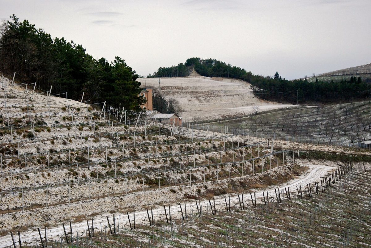 Wijngaardterrassen met droge stenen muurtjes op een helling in de Valpolicella