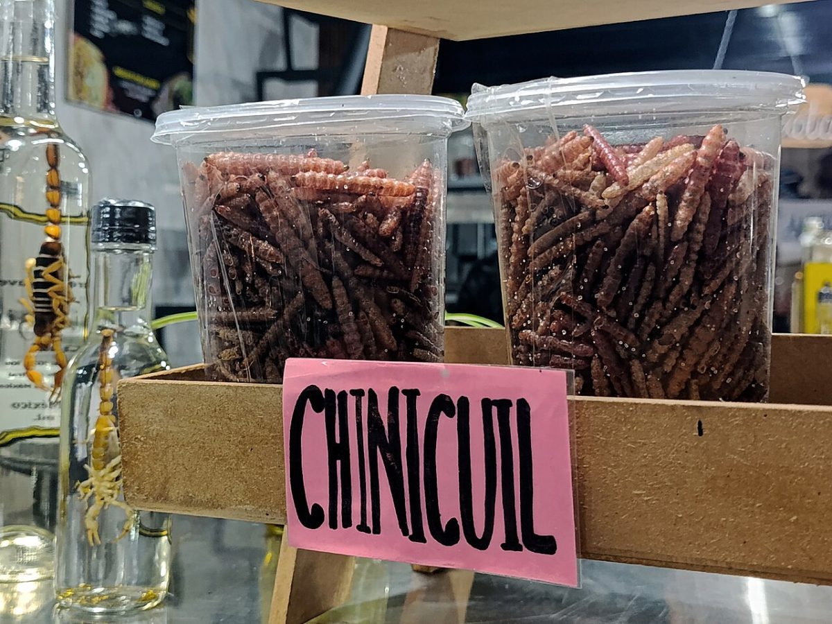 Chinicuiles te koop op de markt van San Juan in Mexico-Stad