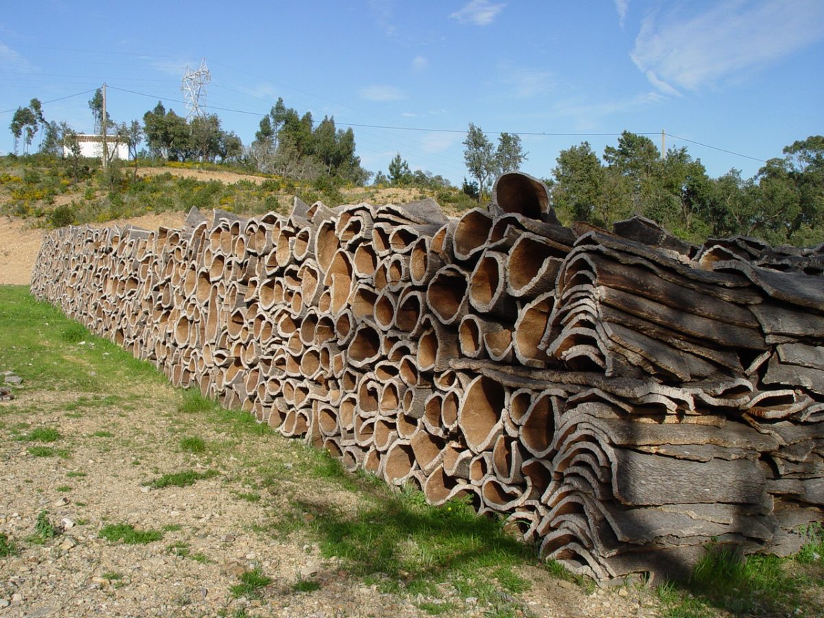 Een lange stapel geoogste kurkschors langs een veld
