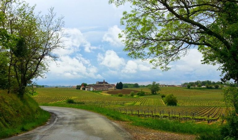 Vignobles près de Saint-Émilion