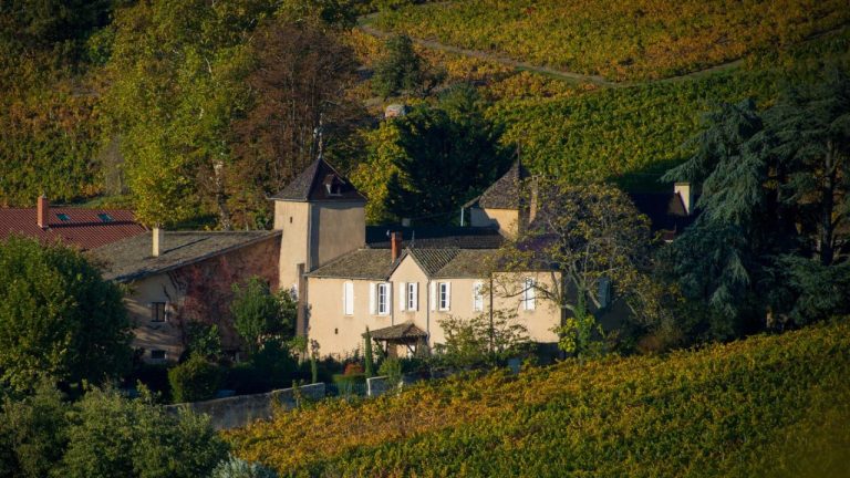 Château Thivin tussen de wijngaarden van de Côte de Brouilly