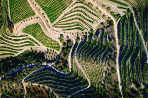 Wijngaardterrassen in de Douro, van bovenaf