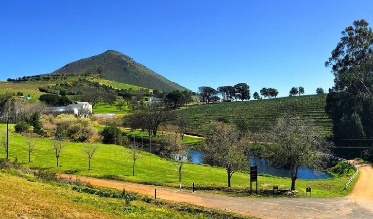 Het landgoed Le Bonheur in Stellenbosch