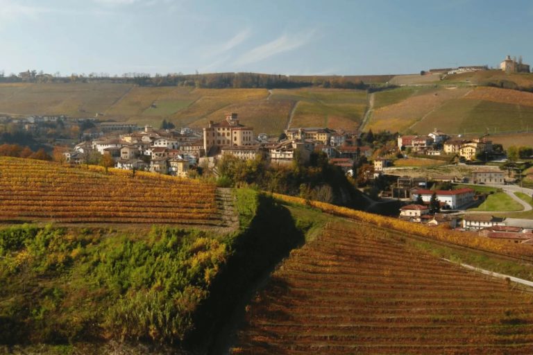 Het dorp Barolo tussen de wijngaarden