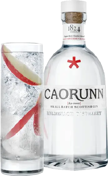 Een fles Caorunn, uit het schap in de winkel in Bathmen