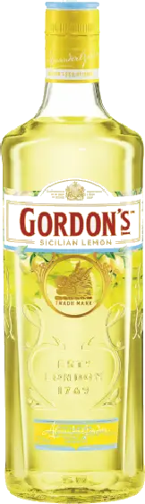 Een fles Gordon’s, uit het schap in de winkel in Bathmen