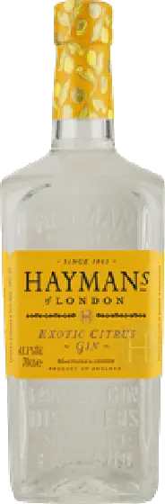 Een fles Hayman’s, uit het schap in de winkel in Bathmen