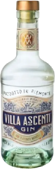 Een fles Italiaanse gin, uit het schap in de winkel in Bathmen