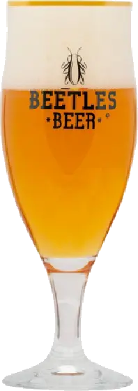 Een glas van Beetles Beer, uit het schap in de winkel in Bathmen
