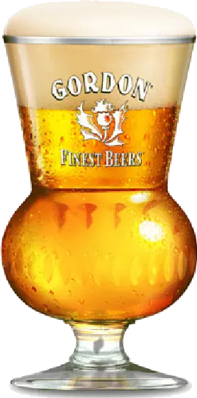 Een glas van Gordon Finest, uit het schap in de winkel in Bathmen