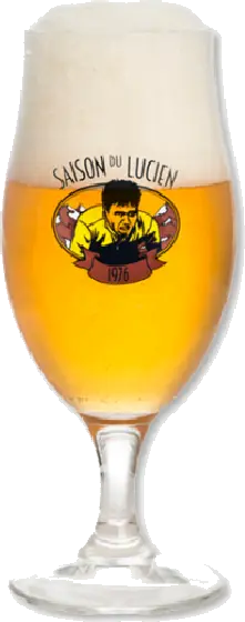 Een glas van Saison du Lucien, uit het schap in de winkel in Bathmen