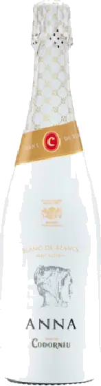 Een fles Anna de Codorníu, uit het schap in de winkel in Bathmen