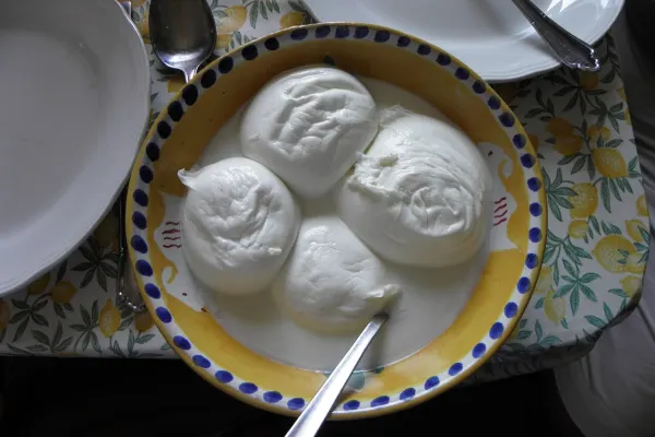 Mozzarella di bufala