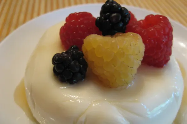 Panna cotta met rood fruit