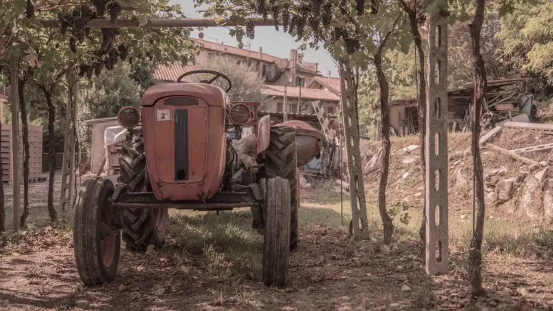 Een oude tractor onder de pergola in de wijngaard van Farina