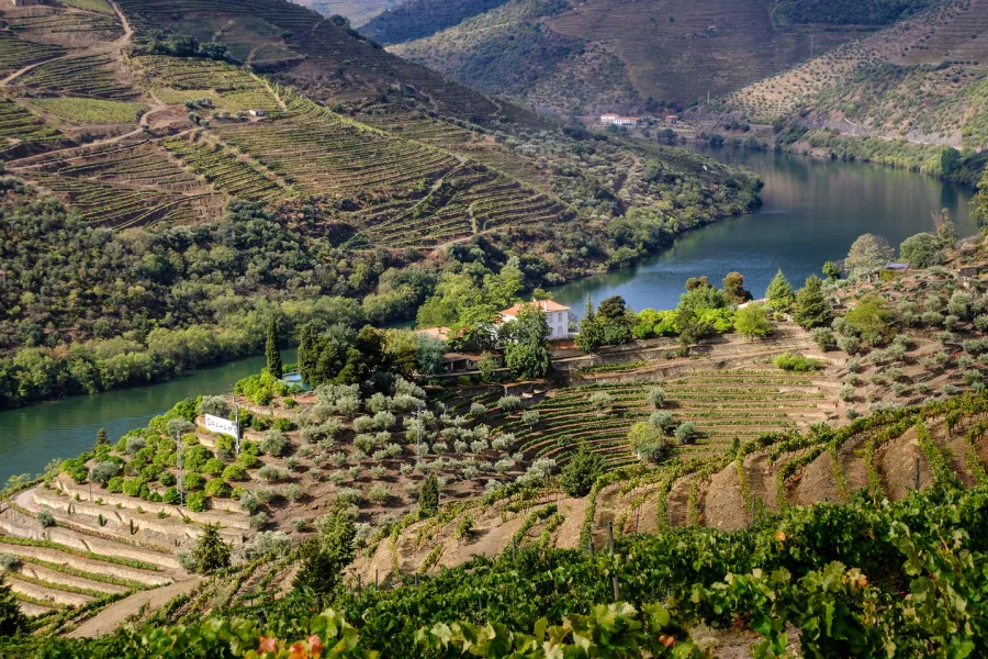 Terrassen van Quinta dos Malvedos boven de Douro