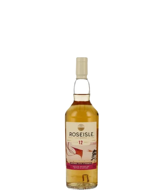 Roseisle 12Y The Origami Kite Diageo Special Releases 2023, fles bij slijterij t Bockje in Bathmen