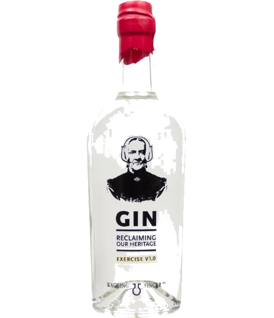Wagging Finger Gin Exercise V1, fles bij slijterij t Bockje in Bathmen