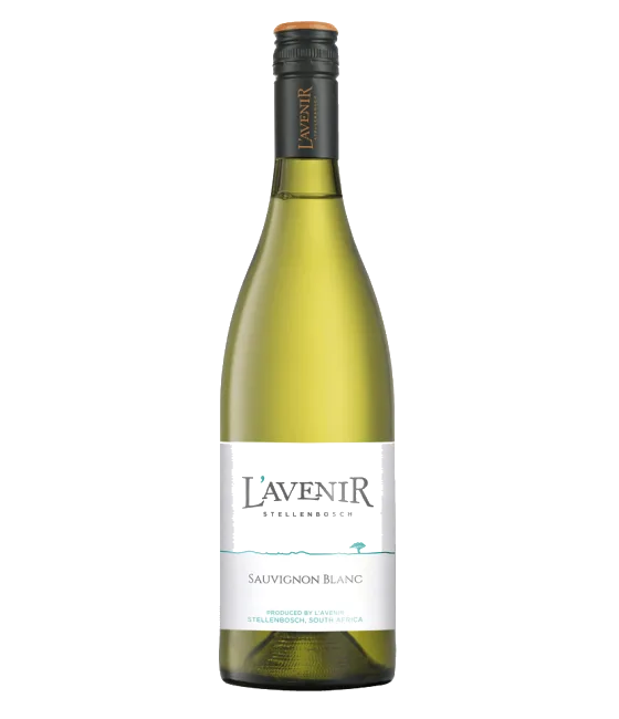 L’Avenir Horizon Sauvignon Blanc, fles bij slijterij t Bockje in Bathmen