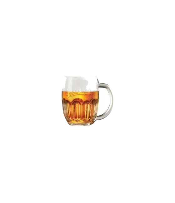 Pilsner Urquell Bierpull 50cl, fles bij slijterij t Bockje in Bathmen