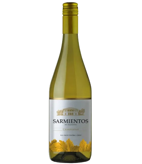 Tarapacá Sarmientos de Naltahua Chardonnay, fles bij slijterij t Bockje in Bathmen