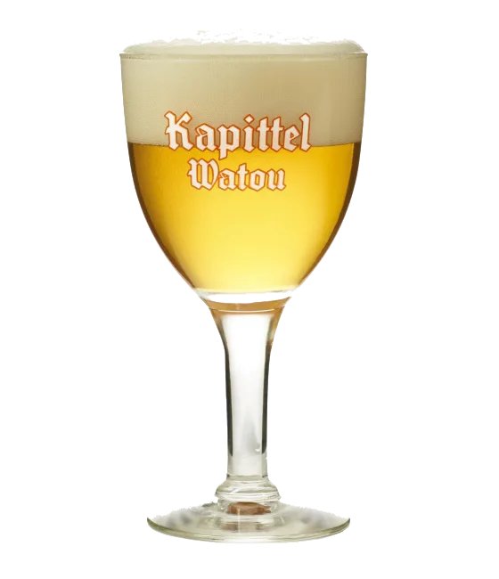 KAPITTEL WATOU bierbokaal 25cl., fles bij slijterij t Bockje in Bathmen
