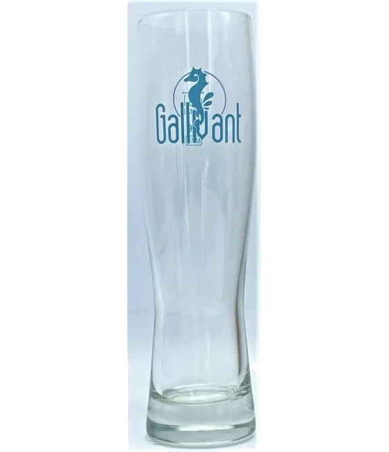 Gallivant Bierglas 30cl, fles bij slijterij t Bockje in Bathmen