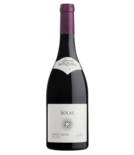 Laurent Miquel Pinot Noir Solas, fles bij slijterij t Bockje in Bathmen