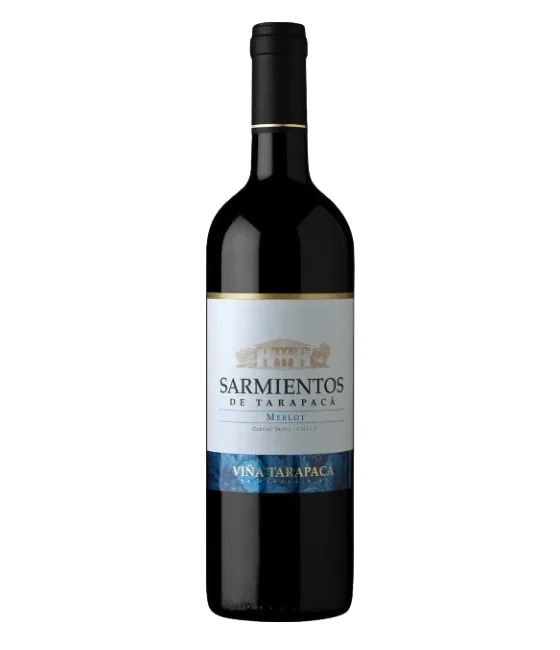 Tarapacá Sarmientos de Naltahua Merlot, fles bij slijterij t Bockje in Bathmen