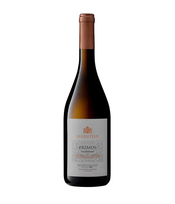 Salentein Primus Chardonnay, fles bij slijterij t Bockje in Bathmen
