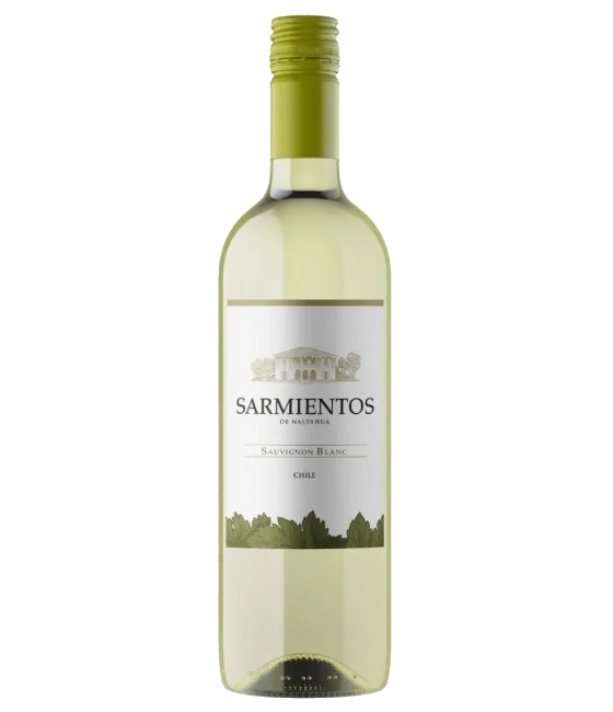 Tarapacá Sarmientos de Naltahua Sauvignon Blanc, fles bij slijterij t Bockje in Bathmen